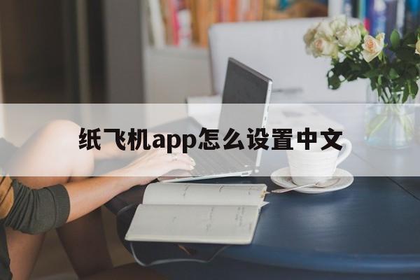 纸飞机app怎么设置中文,纸飞机手机版怎么设置中文版