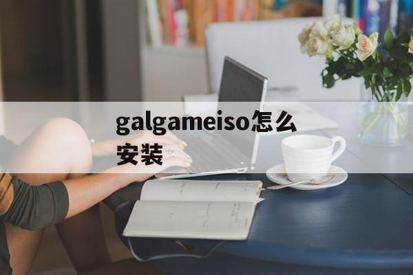 galgameiso怎么安装,galgame怎么安装汉化补丁