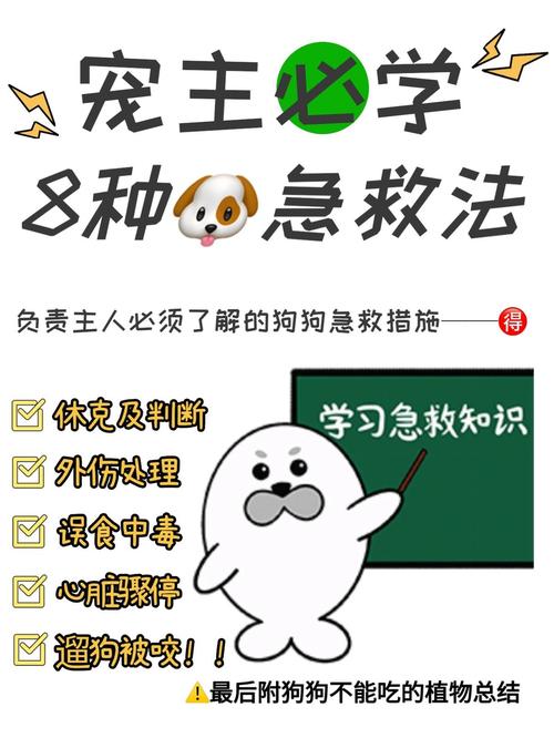 夜里狗狗发病主人弹起去急救,狗狗半夜发疯似的跑来跑去怎么办