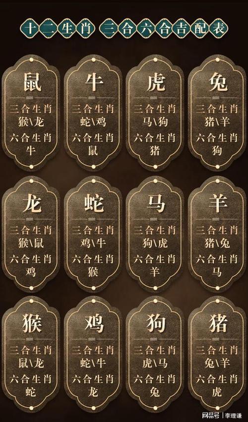 来三中一今期开打一准确生肖