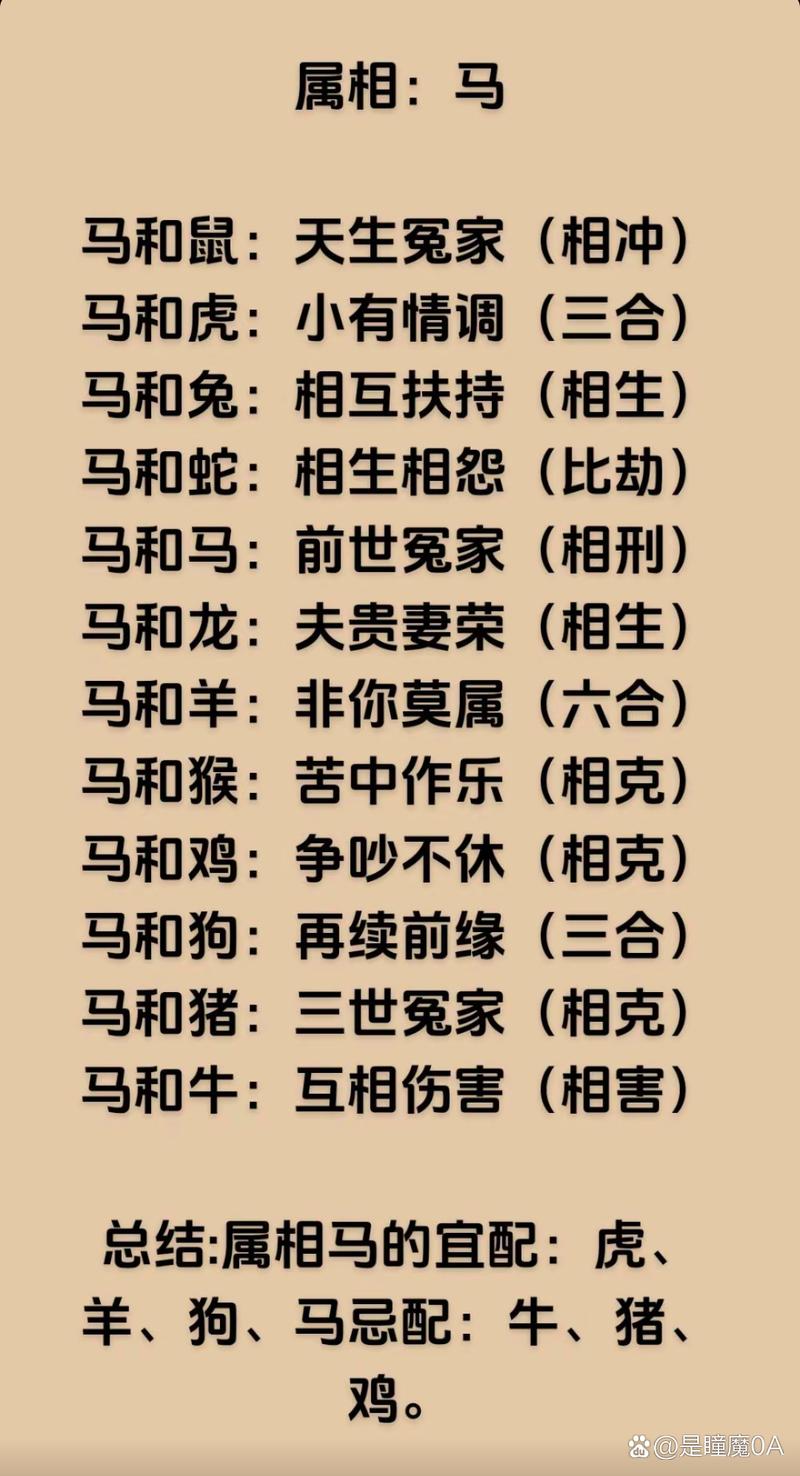 命根子是特马开过什么生肖
