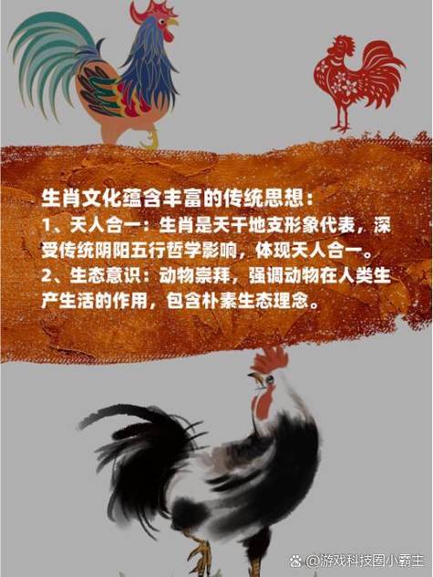 出红花是什么生肖
