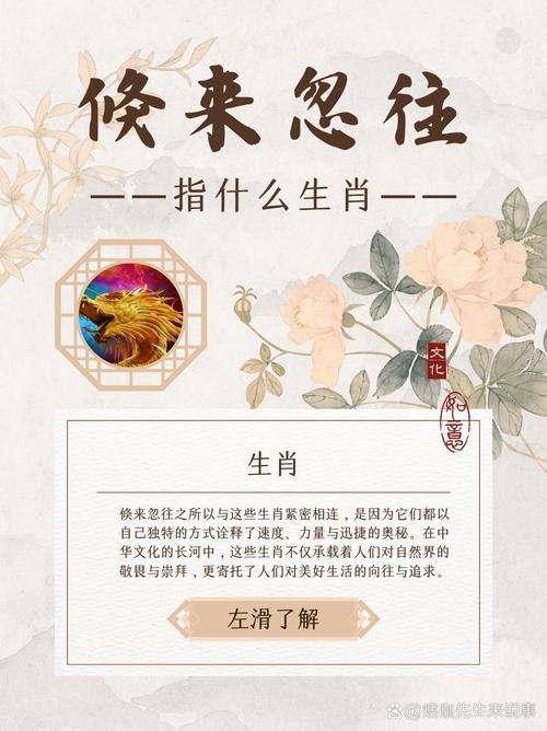 荒渺不经是什么生肖