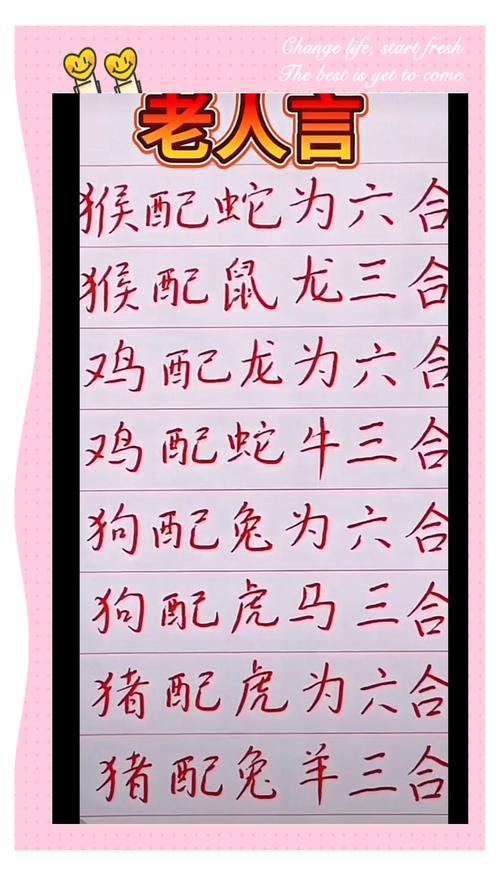 好合今期开过来打一正确动物