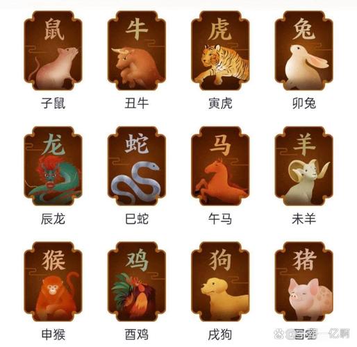 玄机指哪个生肖最好