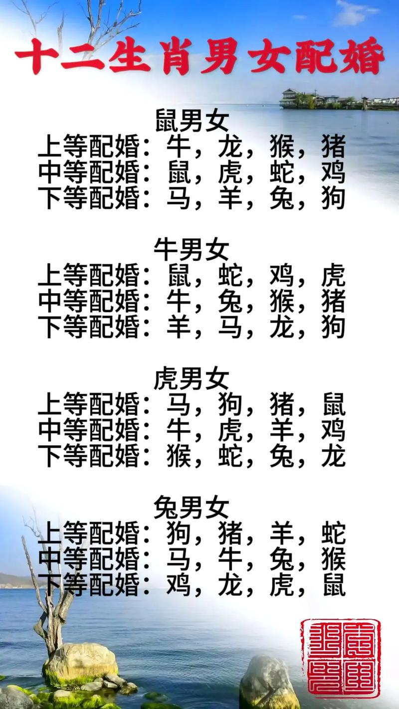 00年属什么生肖配对最好婚姻,00年属什么生肖配对最好婚姻呢