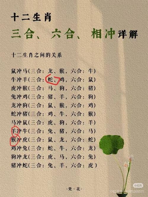 “今期生肖找太子”打一正确的生肖