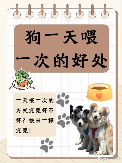 今期喂好正确答案