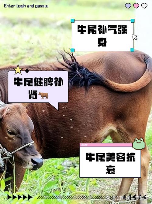 今期零尾要看好正确答案是不是牛