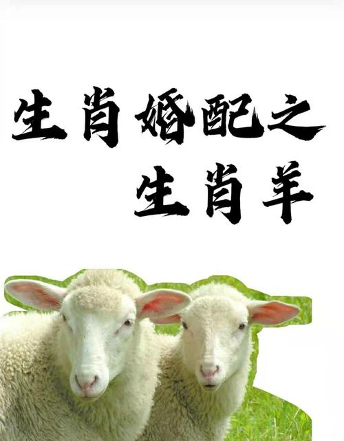 生肖羊和鸡的婚姻相配吗,生肖羊和鸡的婚姻相配吗?