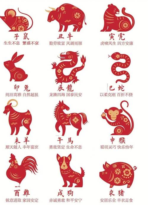 今期生肖发金光打一数字,十二生肖发金光的是什么动物