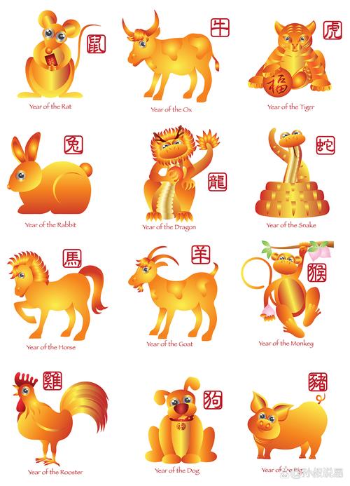 五八游代表什么生肖