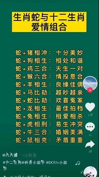 蛇跟什么生肖配对最好女