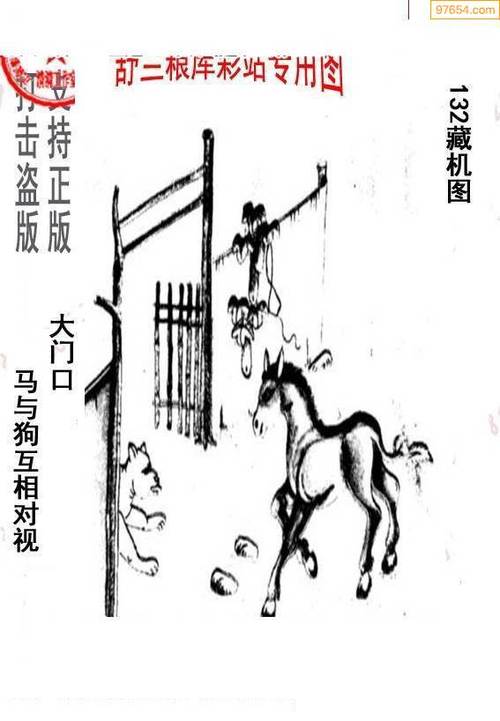 今期玄机三六点