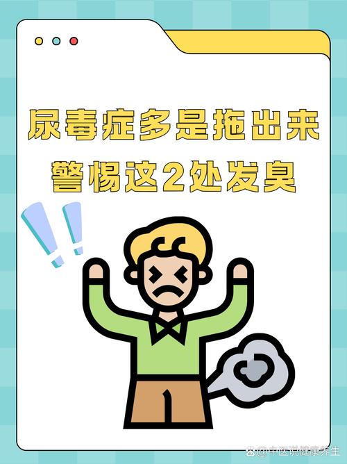 吐尿打一生肖