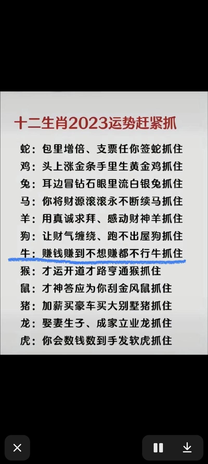 今期生肖是好人