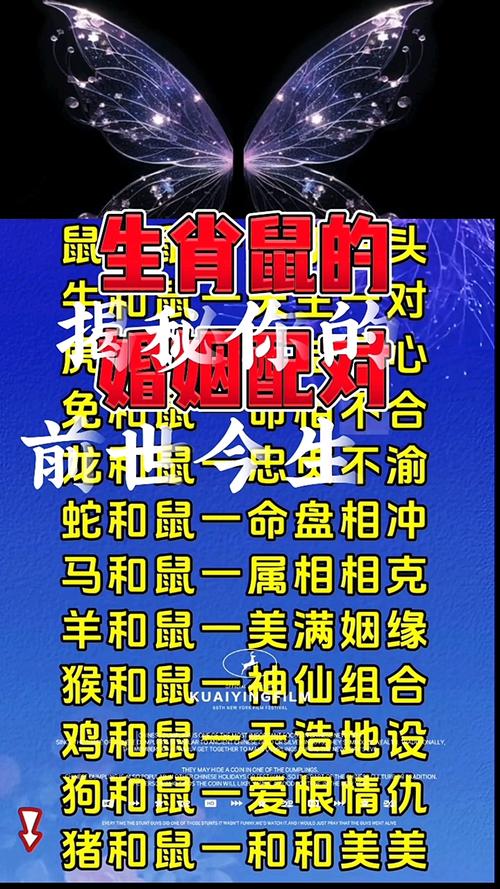 今期生肖克龙鼠指什么生肖呢