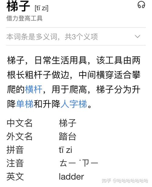 梯子软件苹果,iphone梯子软件 知乎