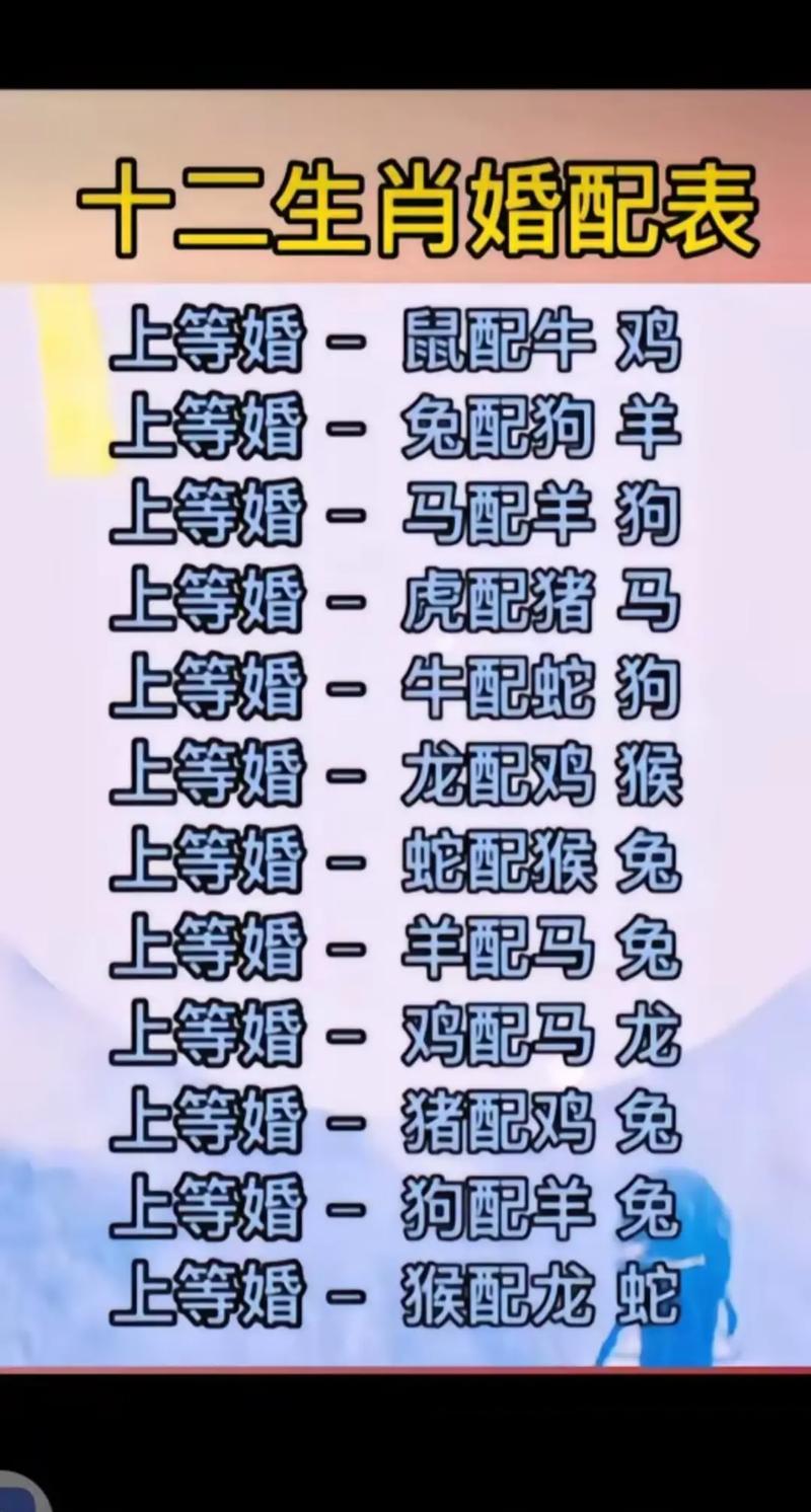 今期生肖各不同