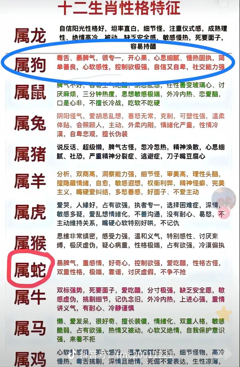 今期特出在狗正确生肖