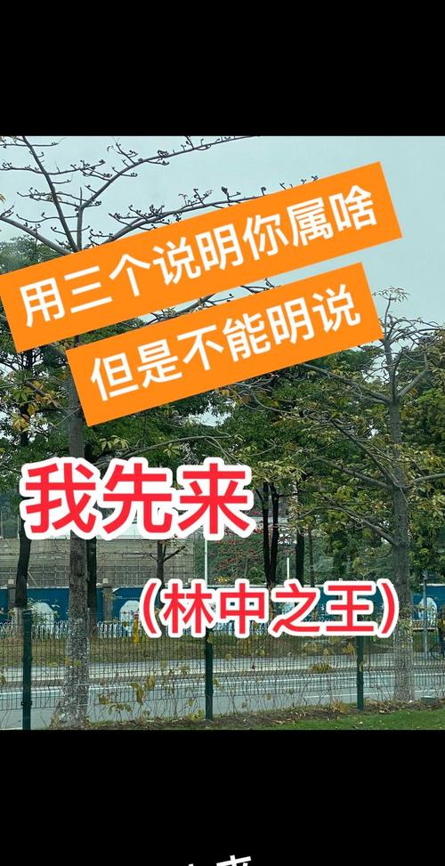 王打一生肖是什么