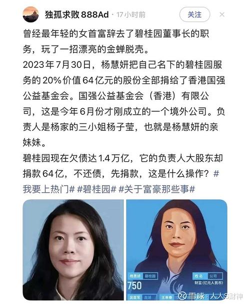 碧桂园服务借给杨惠妍10亿元的资本运作解析