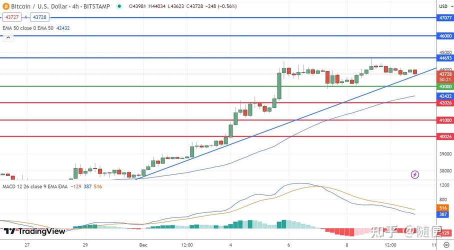 今日比特币美元价格分析与未来趋势预测