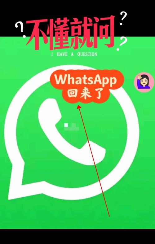 如何从WhatsApp官方网下载安装并使用WhatsApp | 最新功能与安全指南