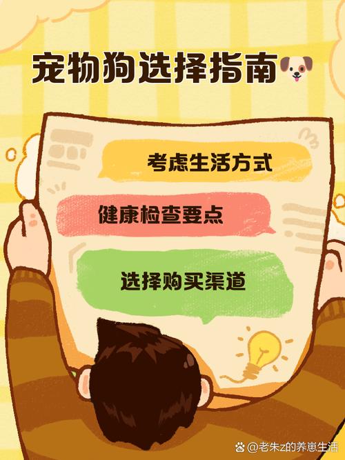 深入了解狗狗币交易系统和平台选择指南