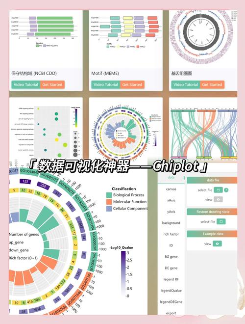 图表的力量：有效视觉化数据的工具与类型