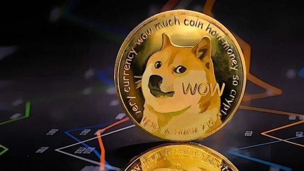 狗狗币市值达到500亿美元的背后：投资策略与未来走势分析