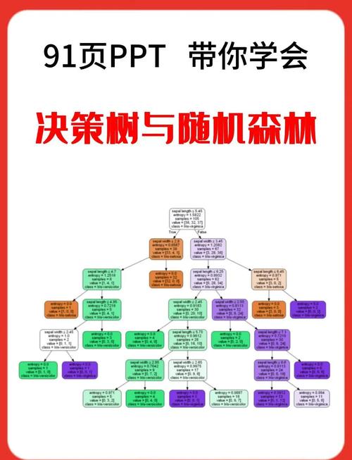 卡尔达诺教你学概率,掌握生活中的随机性与决策技巧