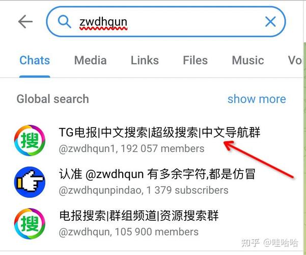 如何在Telegram下创建聊天机器人及保护隐私