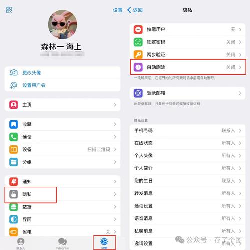 如何轻松访问和使用Telegram网页入口