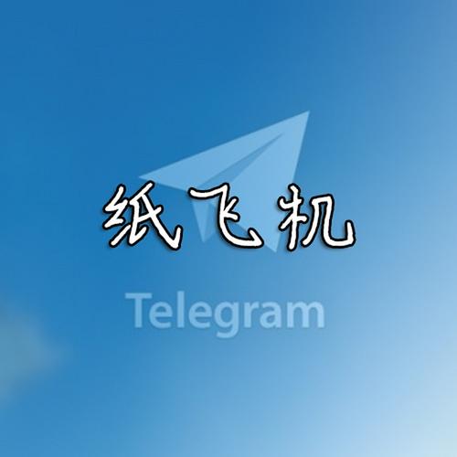 纸飞机怎么切换中文版？详细步骤和注意事项