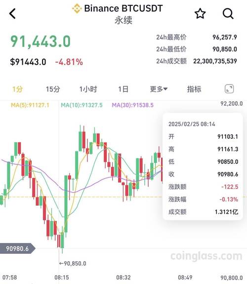 比特币价格美元实时行情分析及投资策略