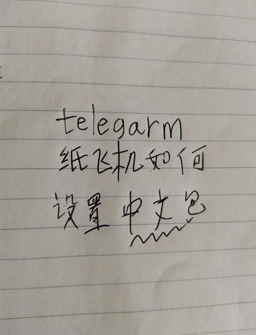 纸飞机设置中文怎么设置,纸飞机设置中文怎么设置出来
