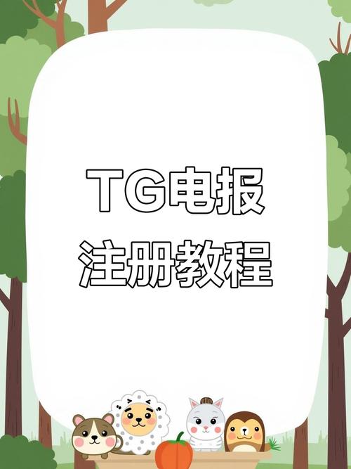 tg纸飞机怎么注册,纸飞机软件国内怎么注册