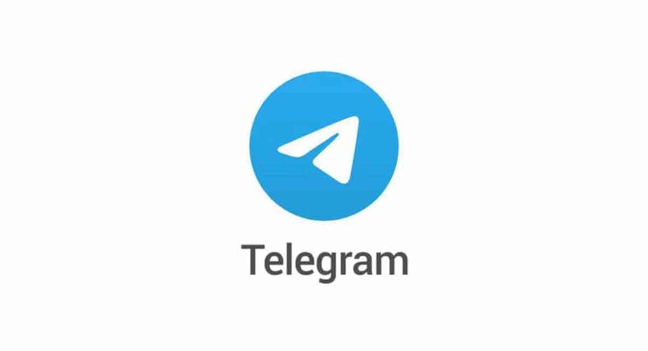 telegraph安卓下载,telegraph官网下载中文版