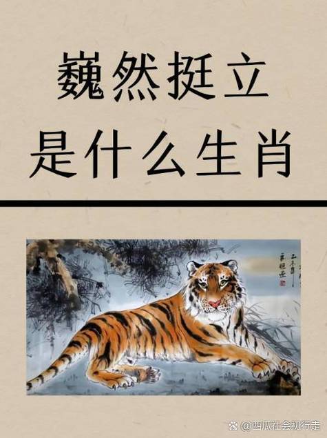今期生肖一一开是什么数字?,今期开什么生肖动物视频2o19