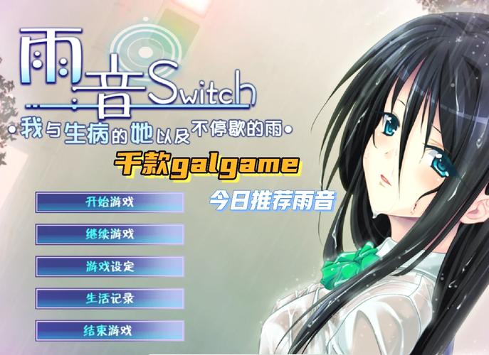 电脑怎么玩gal游戏,电脑如何玩galgame