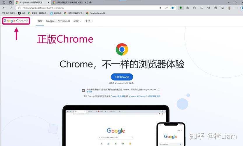 chrome免费网站,chrome浏览器免费吗