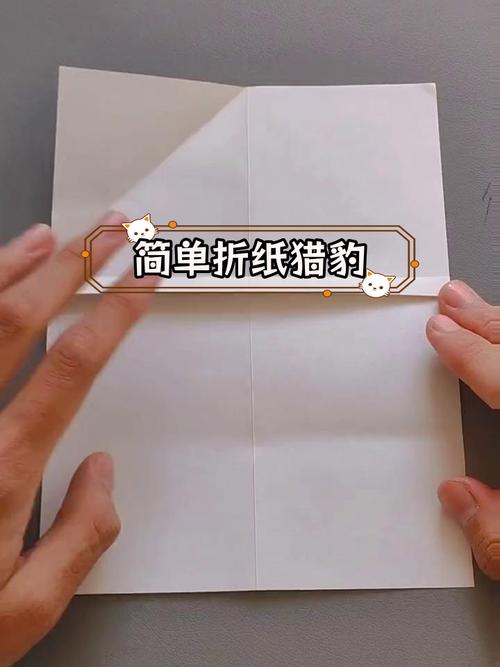 猎豹纸飞机怎么折,猎豹纸飞机怎么折飞得远,要用什么纸最好?