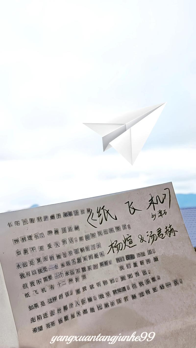 纸飞机为什么没有中文,纸飞机在国内为什么不能联网