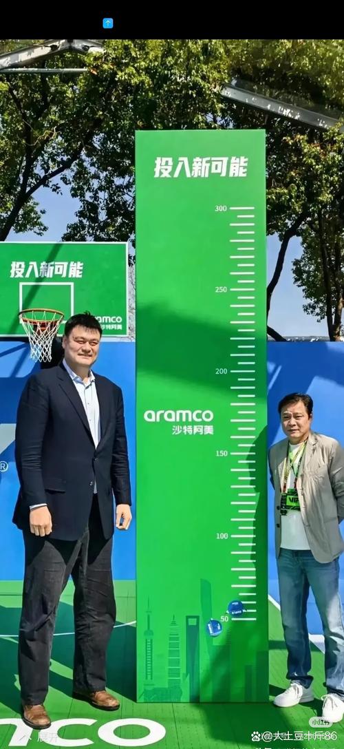 姚明成两会身高担当,姚明身高不止226