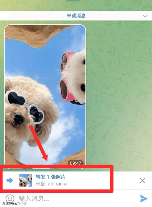 tekegram中文,tele gram中文版