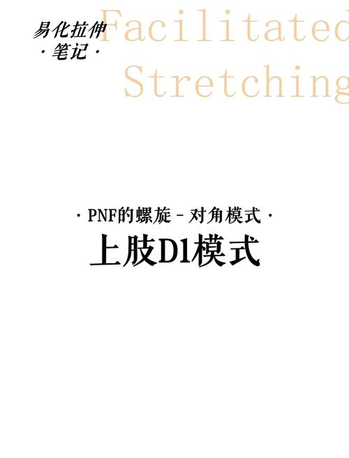 什么是PNF,什么是png文件
