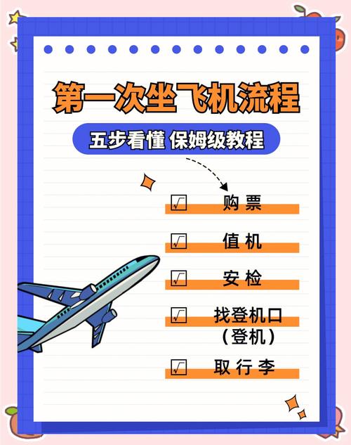 飞机使用中文教程,飞机怎么设置中文语言