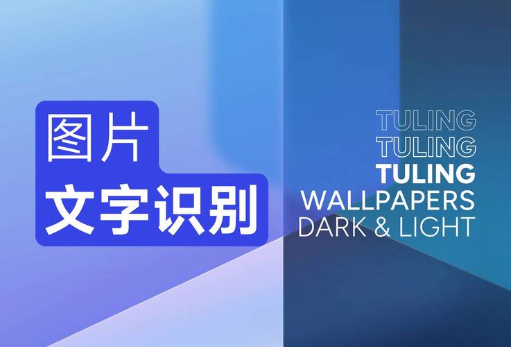 在线免费文字转换,文字转换器免费下载