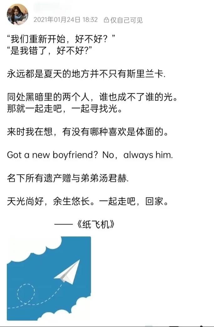关于纸飞机小说短句经典语录的信息